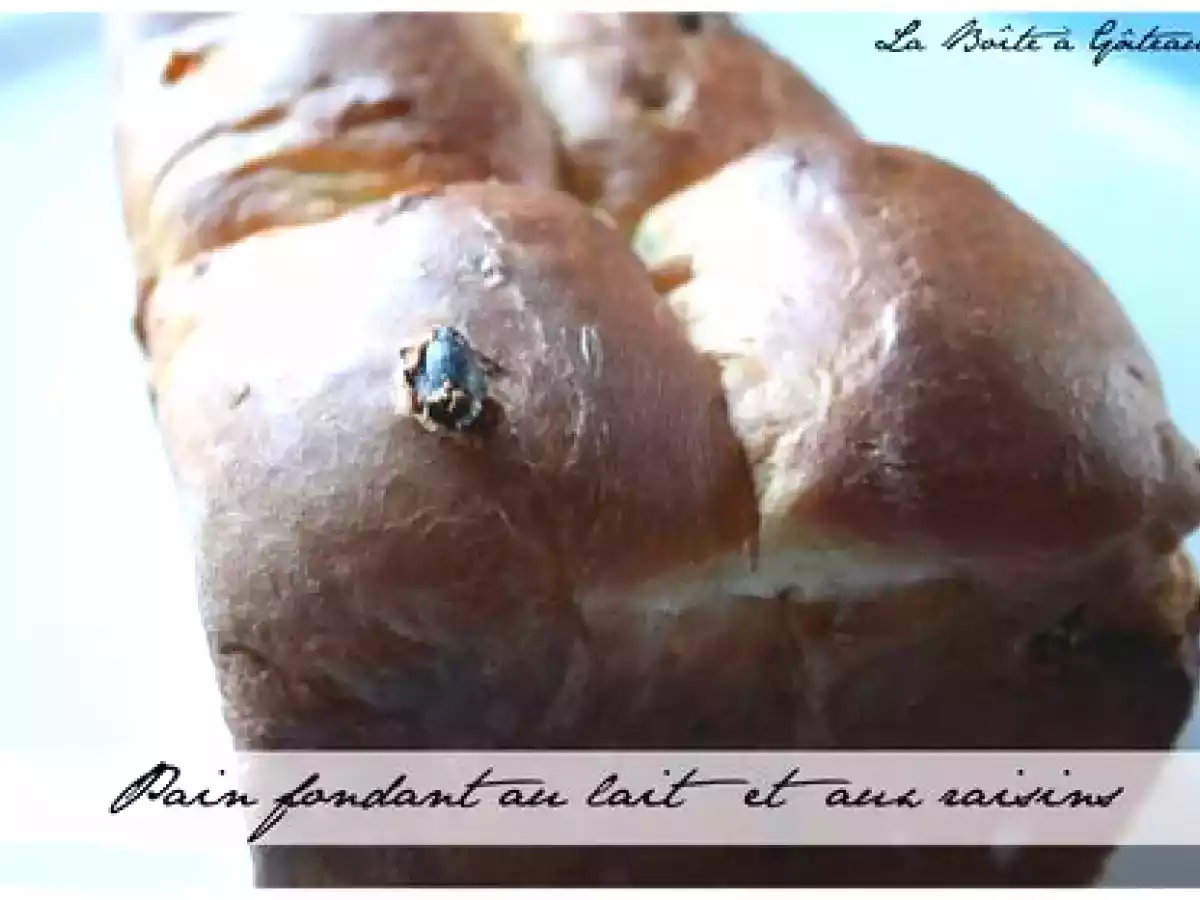 Pain fondant au lait et aux raisins - photo 2