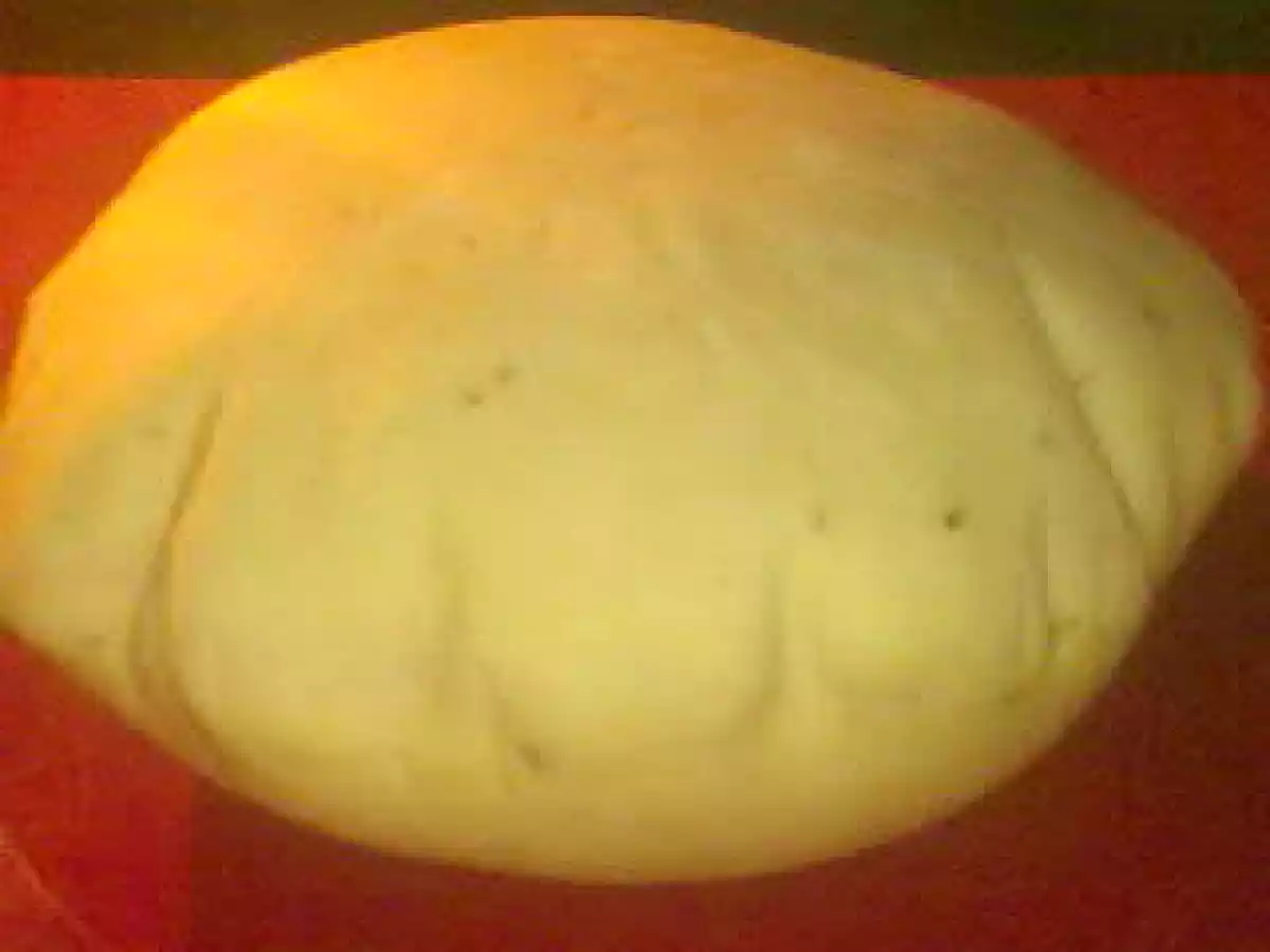 Pain libanais maison - photo 2