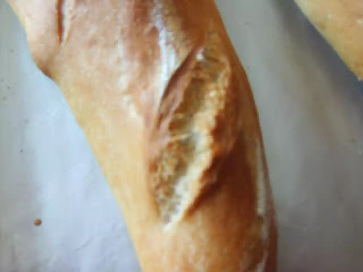 Pain sur poolish longue.