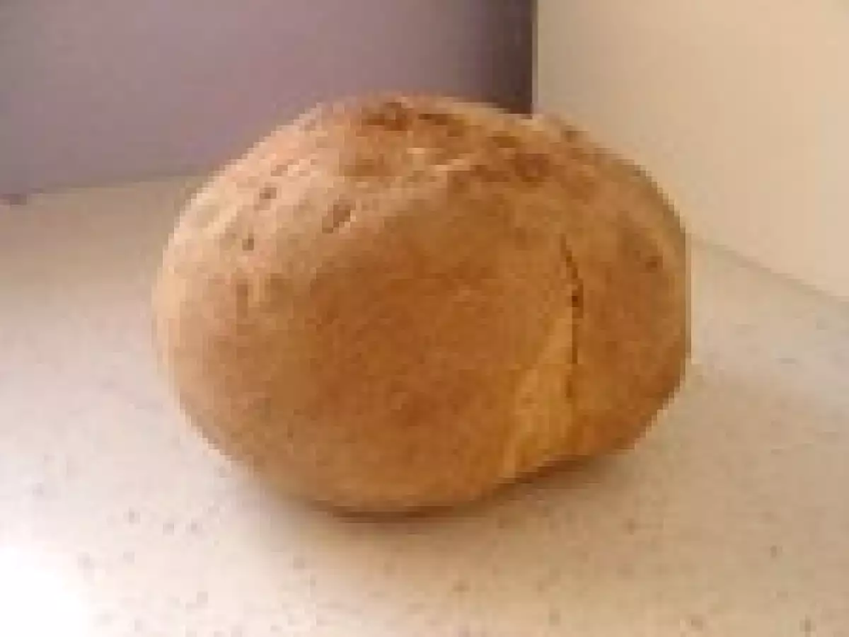 Pain Surprise - photo 6