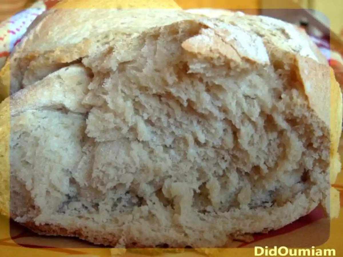 Pain tessinois - photo 2