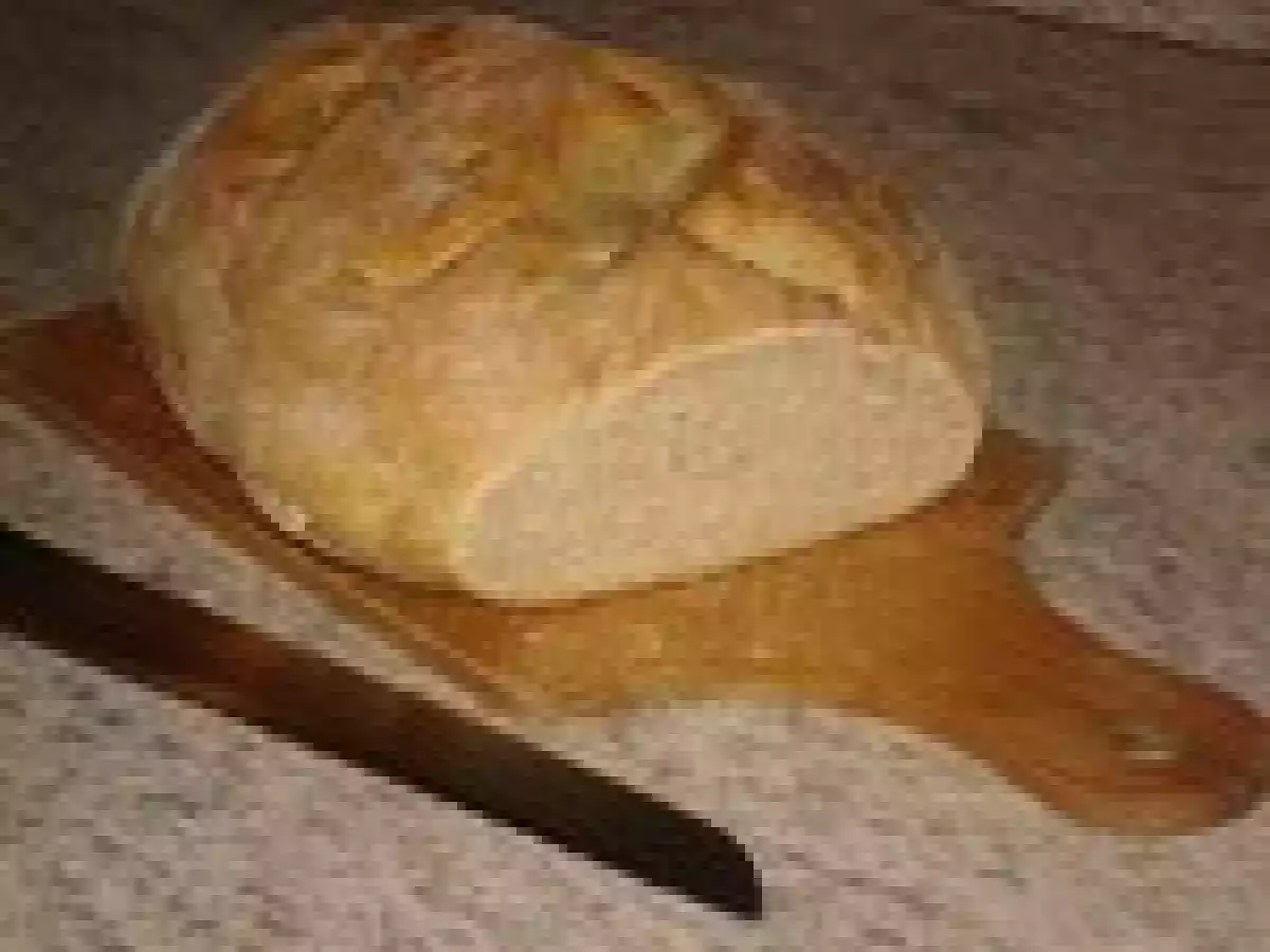 PAIN THERMOMIX - photo 2