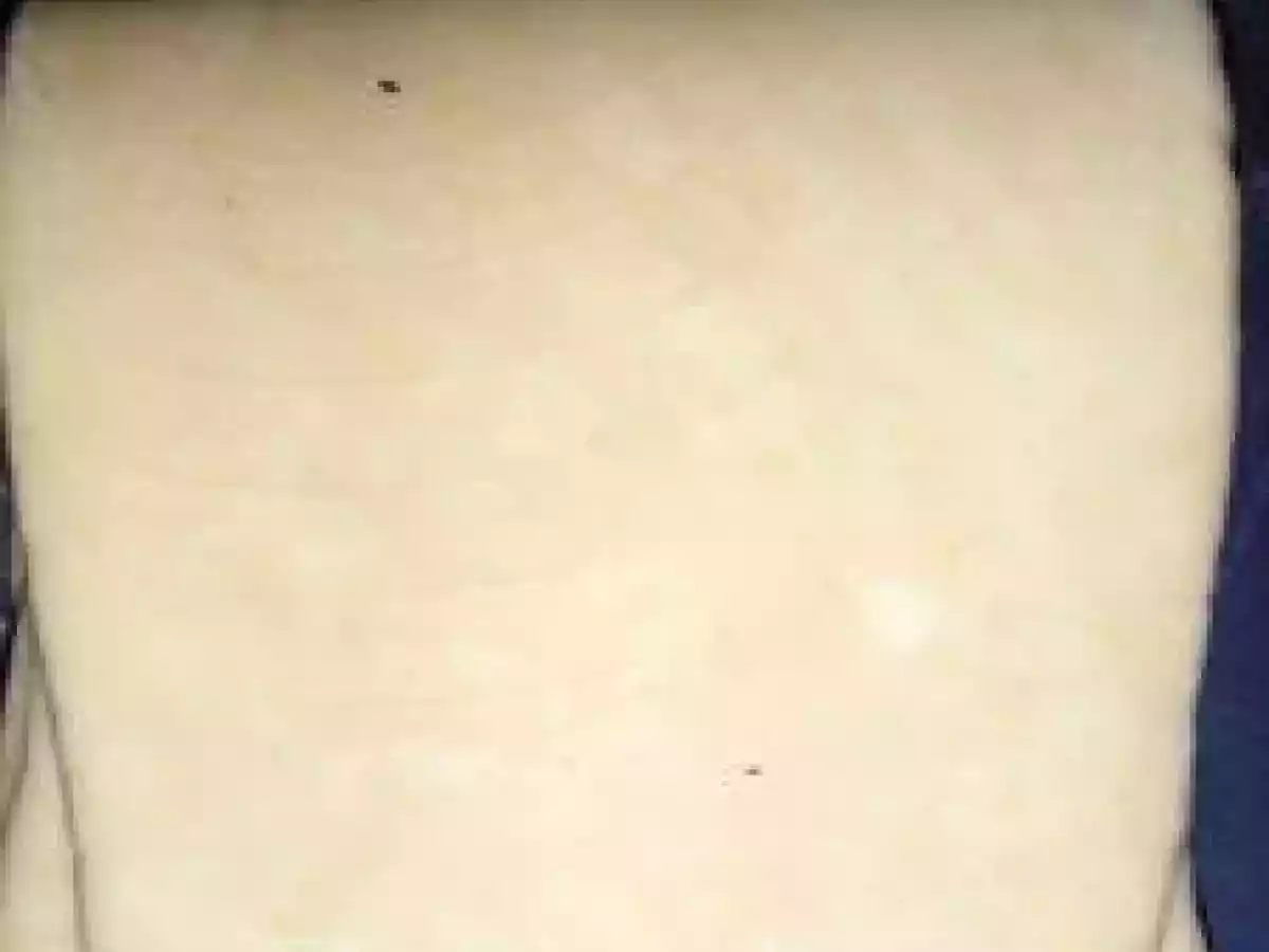 Pains aux raisins - photo 7