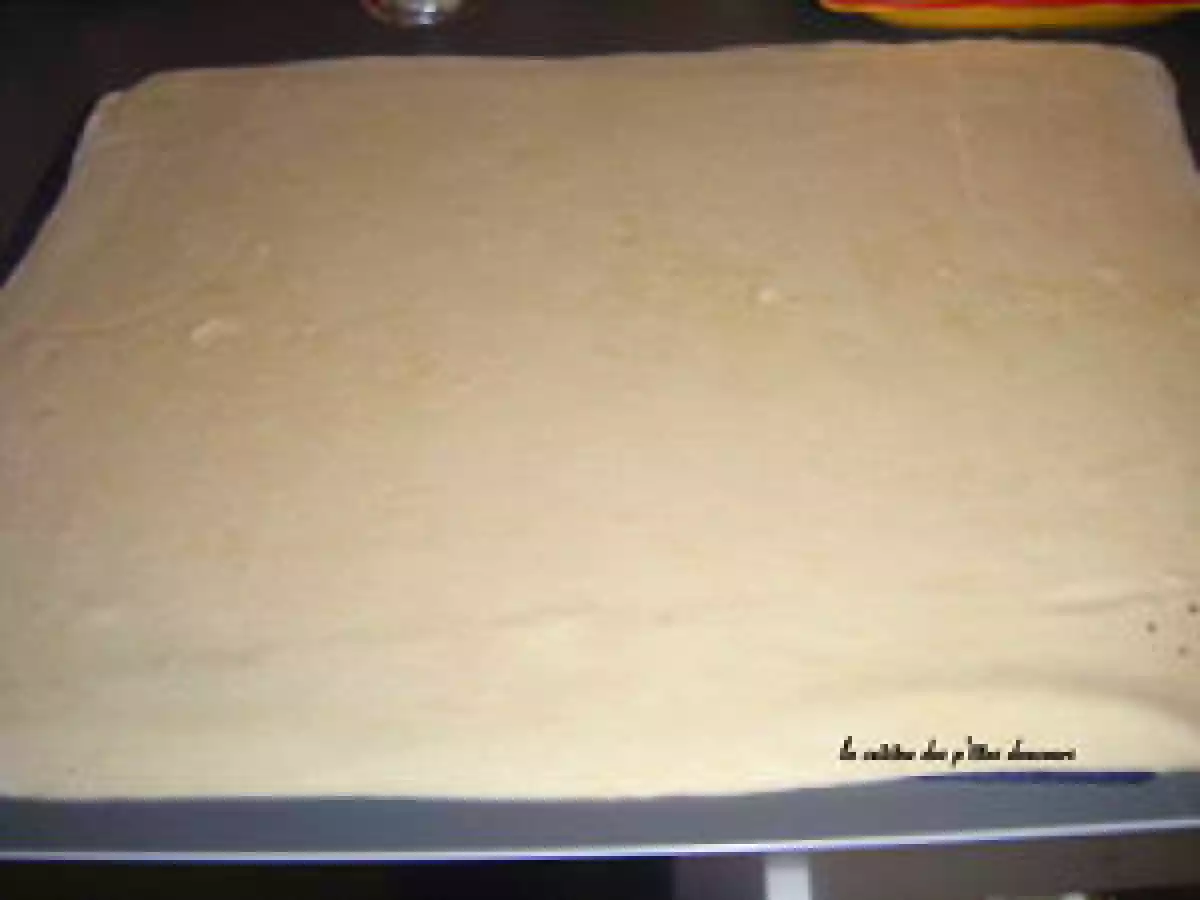 Pains aux raisins - photo 8