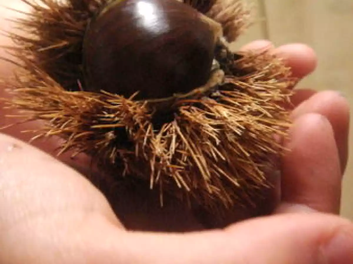 Palet breton aux châtaignes façon tartelette - photo 3