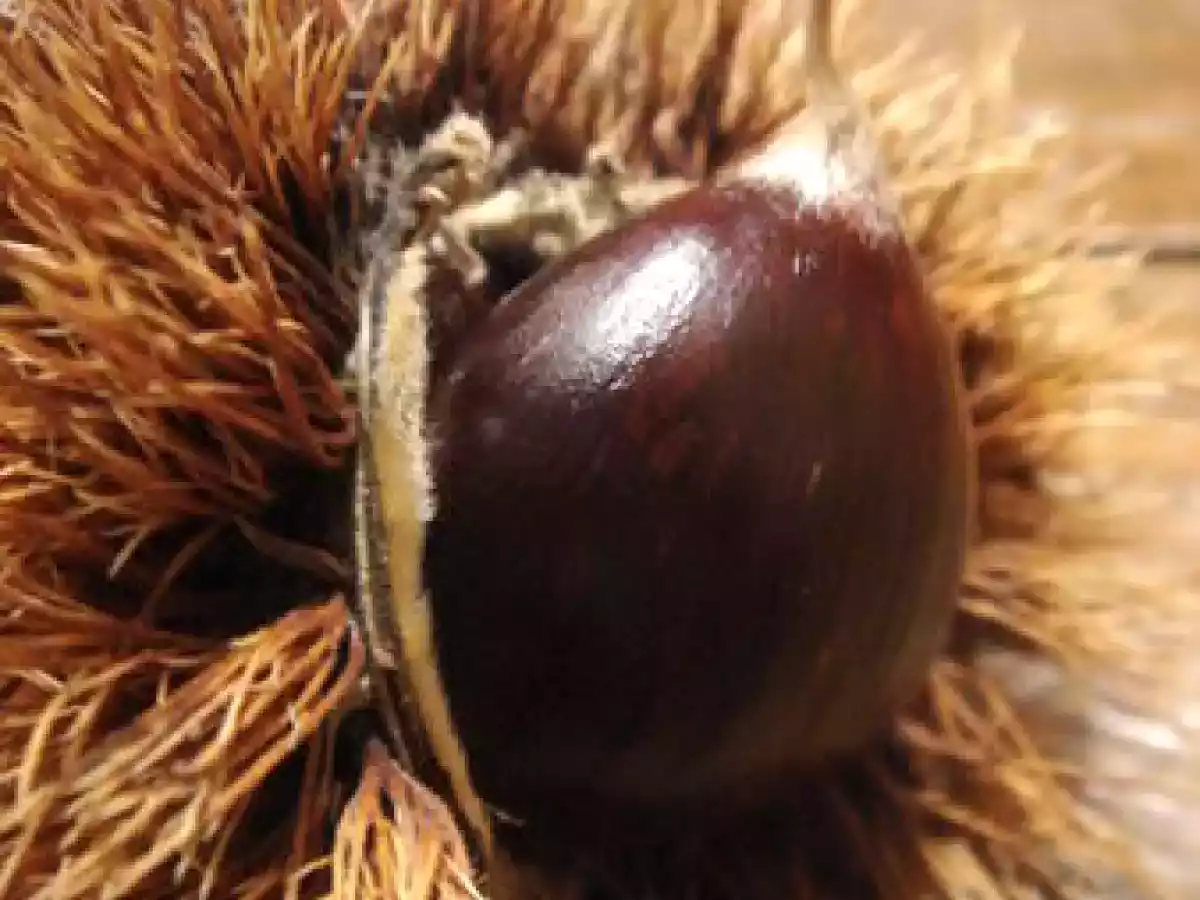 Palet breton aux châtaignes façon tartelette - photo 4