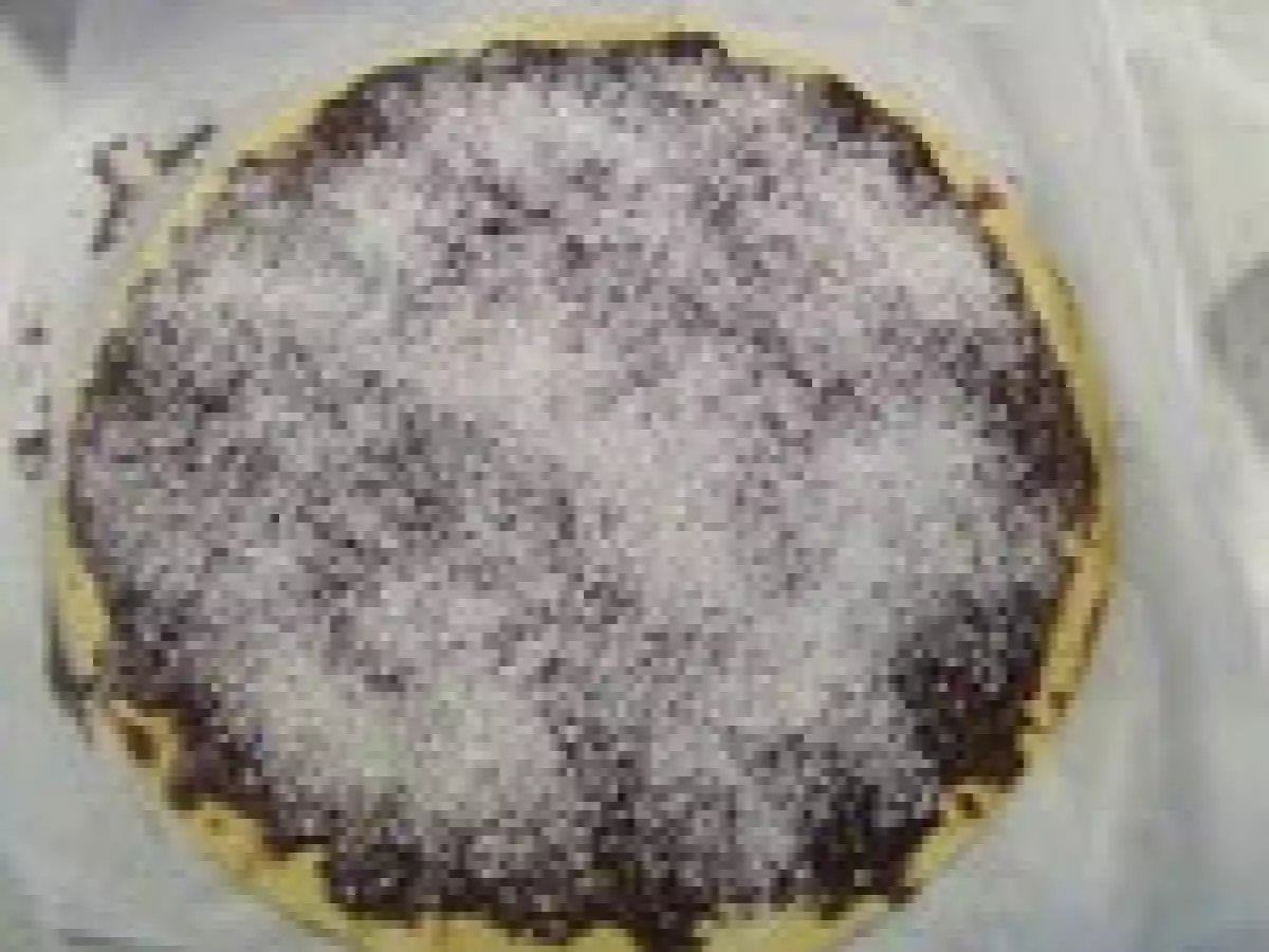 Palmito chocolat noix de coco - photo 6