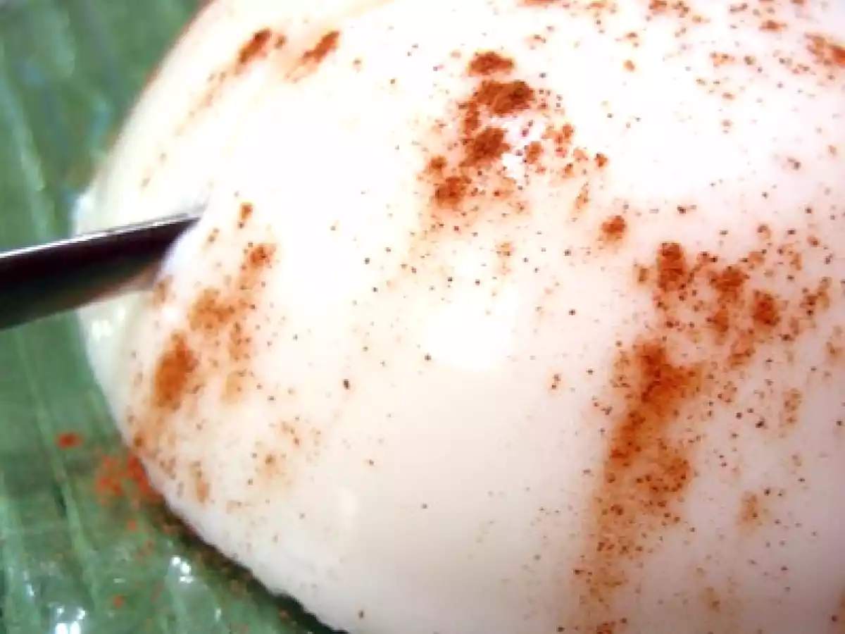 PANACOTTA AGAR-AGAR COCO, CANNELLE...