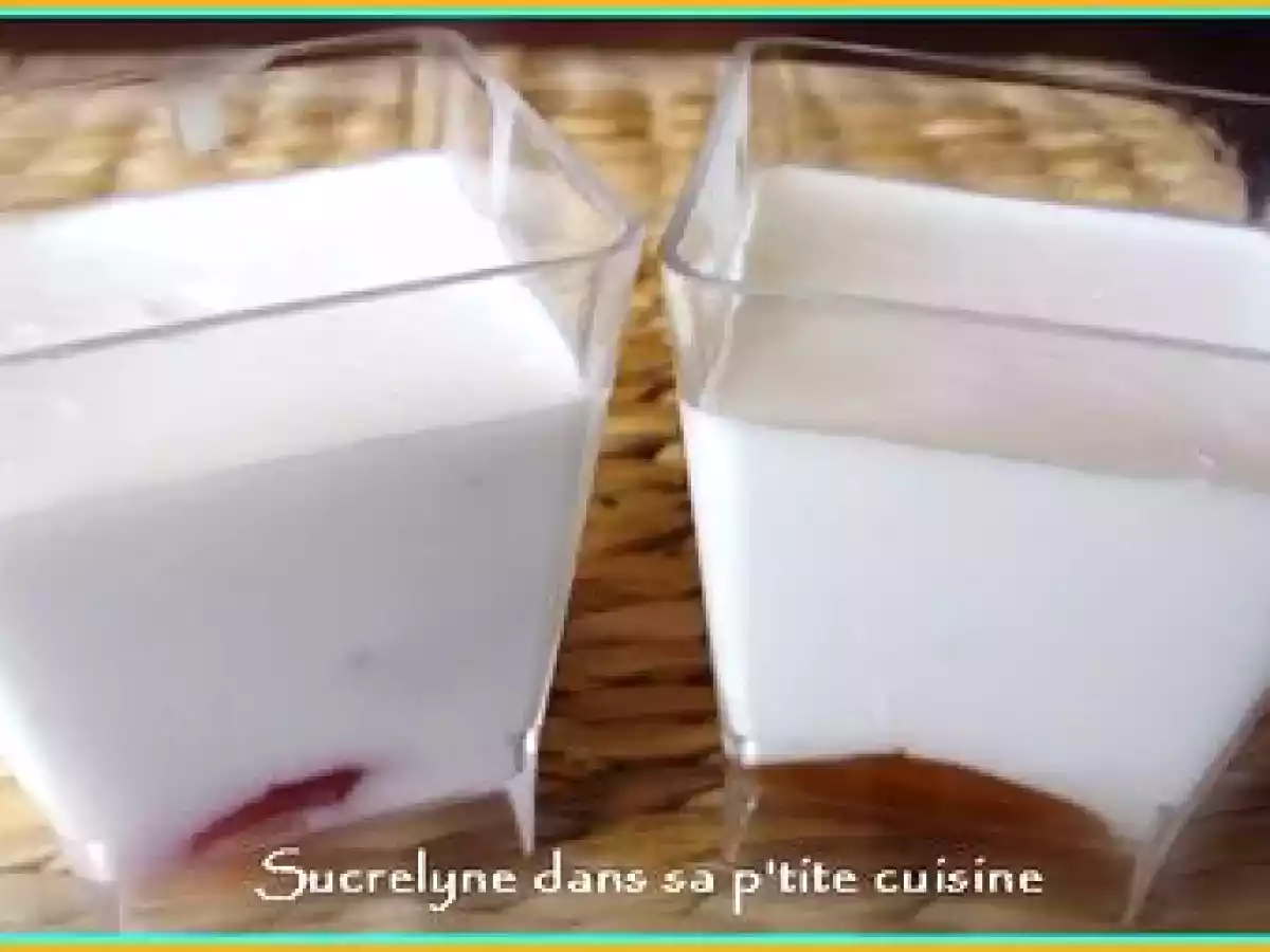 Panacotta légère au lait de coco - photo 2