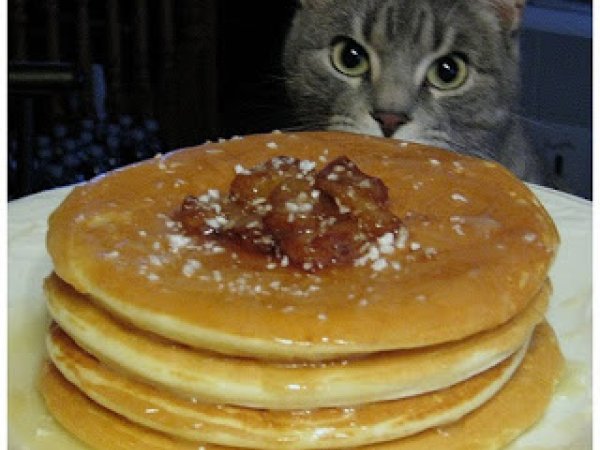 Pancakes Du Clinton Street Baking Company Garniture De Beurre A L Erable Recette Ptitchef