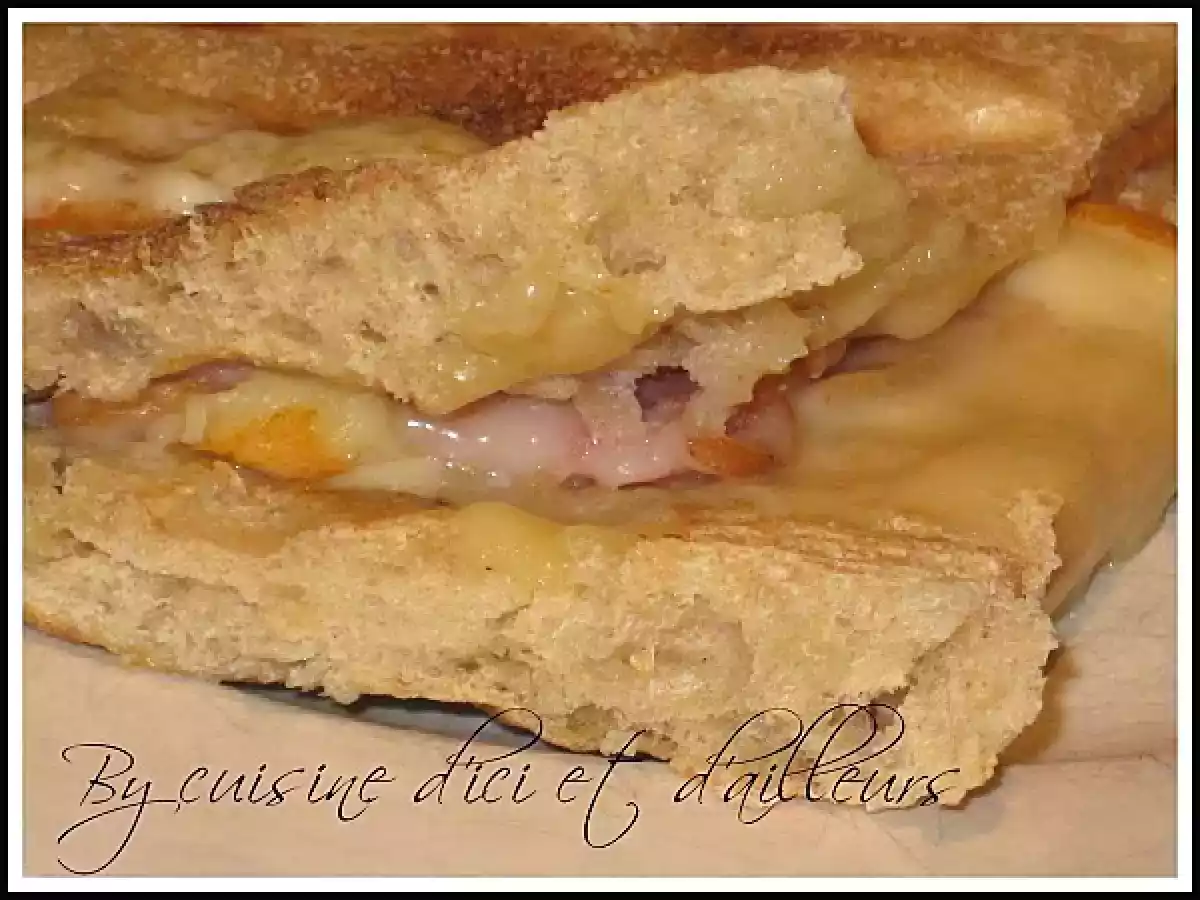 Panini savoyard - photo 3