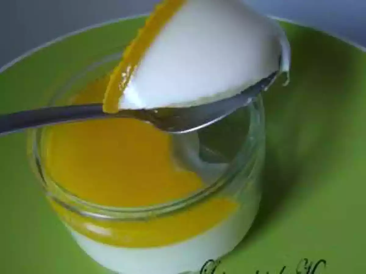 Panna cotta à l'orange et miroir orange - photo 2