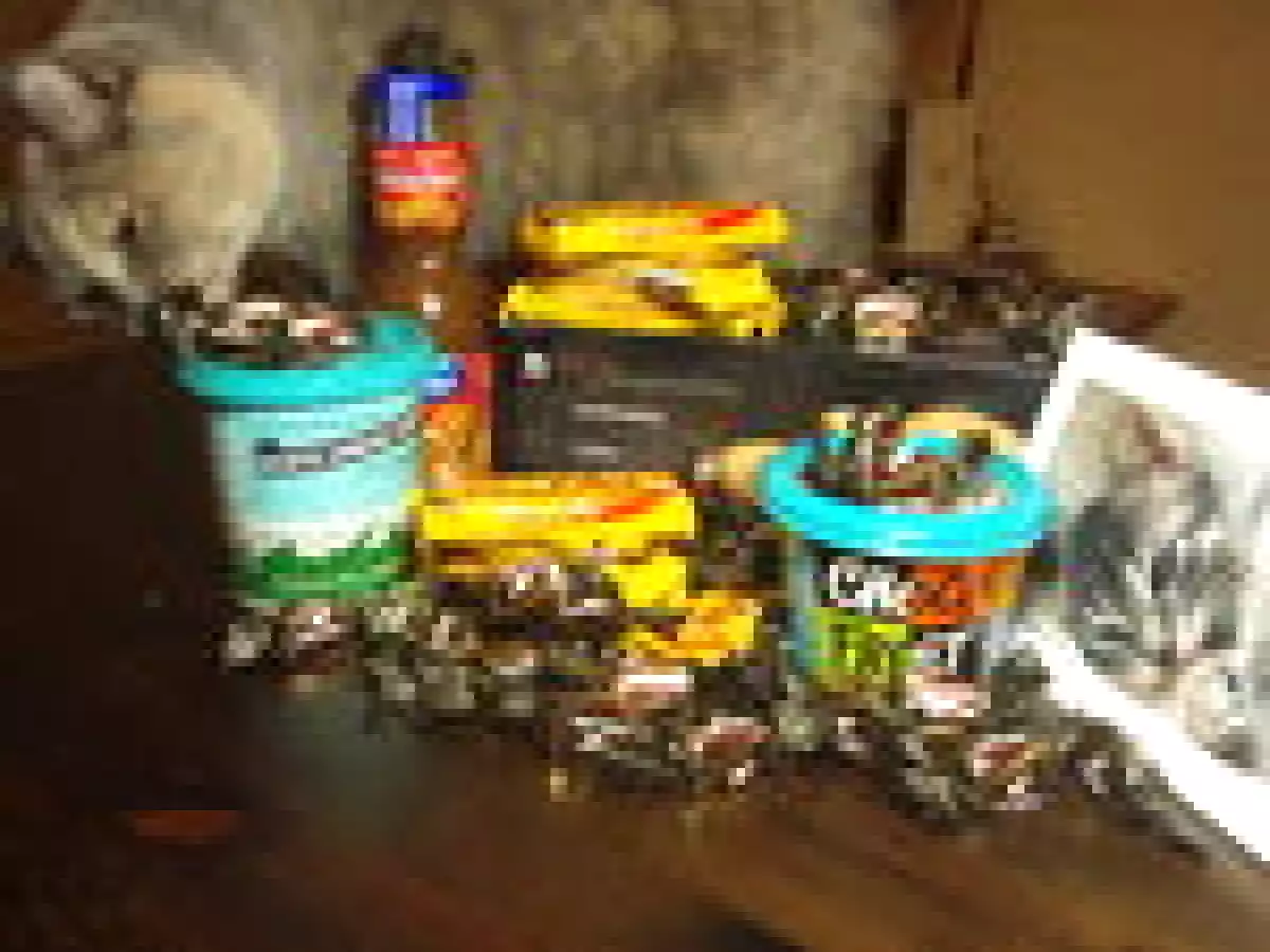 Panna cotta à la crème de Speculoos, pour affronter l'automne - photo 3