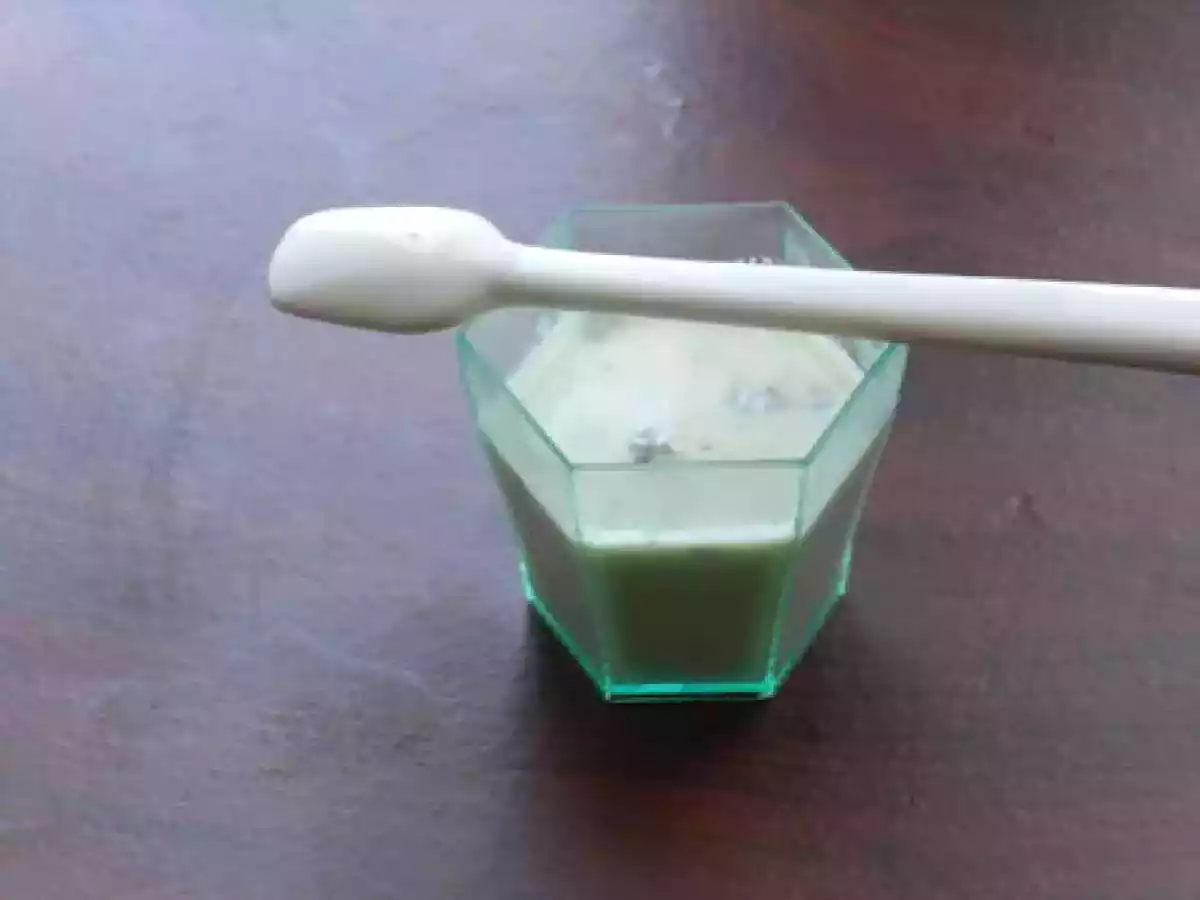 Panna cotta apéritive au roquefort