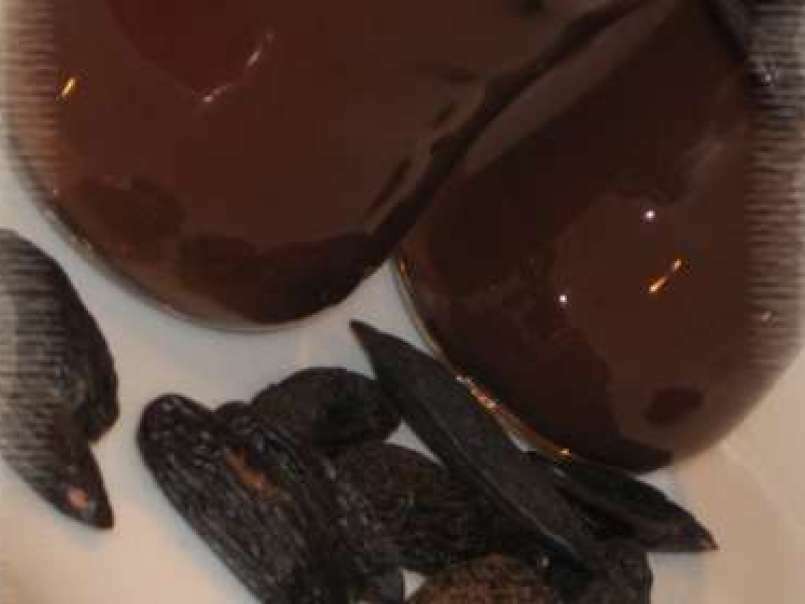 Panna cotta au chocolat et feve tonka - photo 2