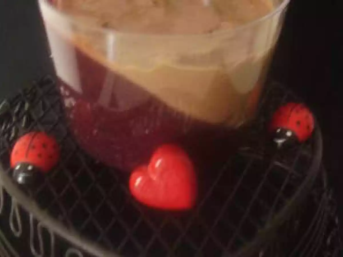 Panna Cotta au chocolat sur son coulis de framboises