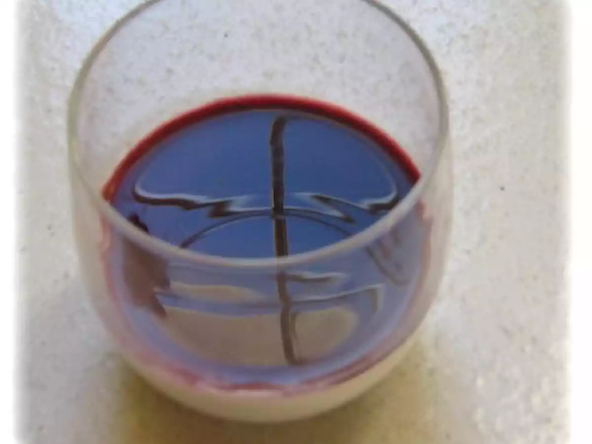 PANNA COTTA AU COULIS DE MÛRES