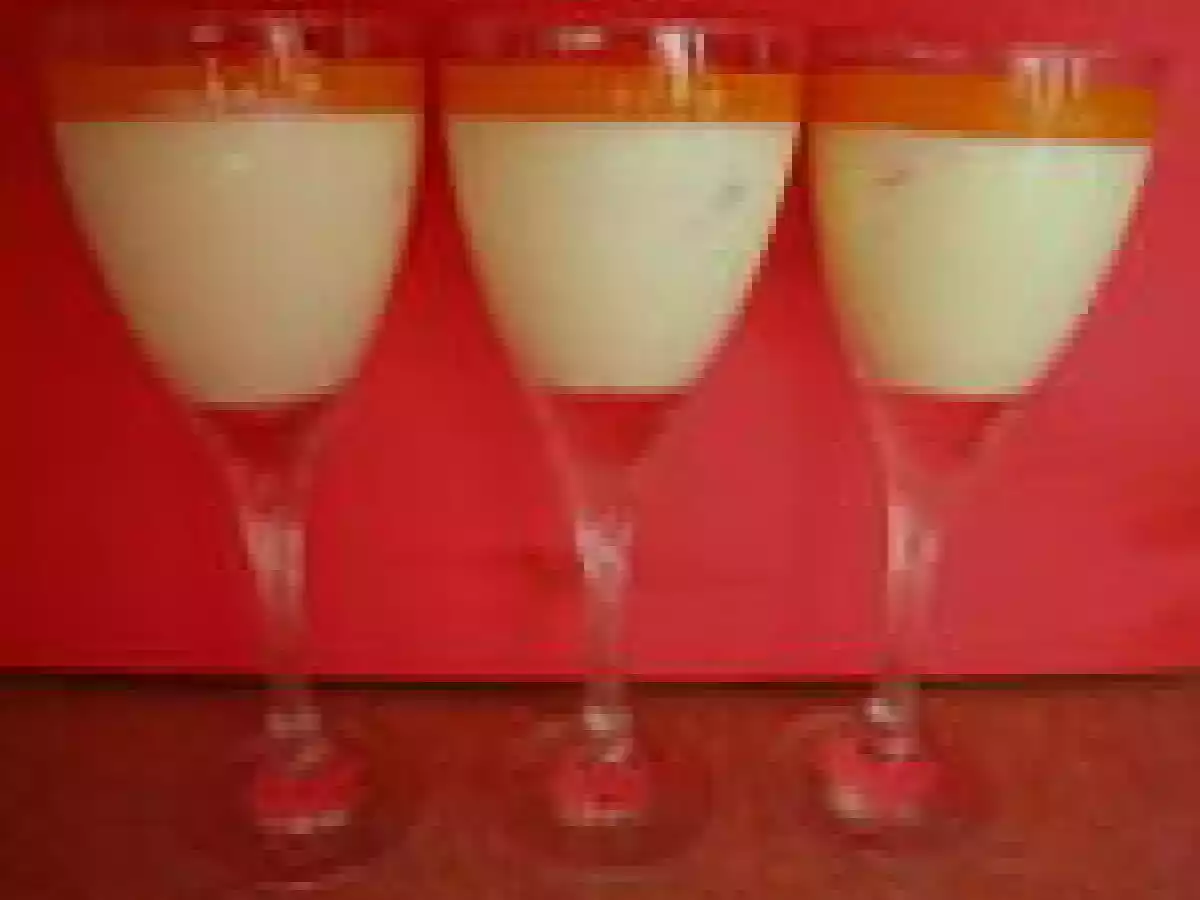 Panna cotta au pamplemousse et coulis de melon - photo 2