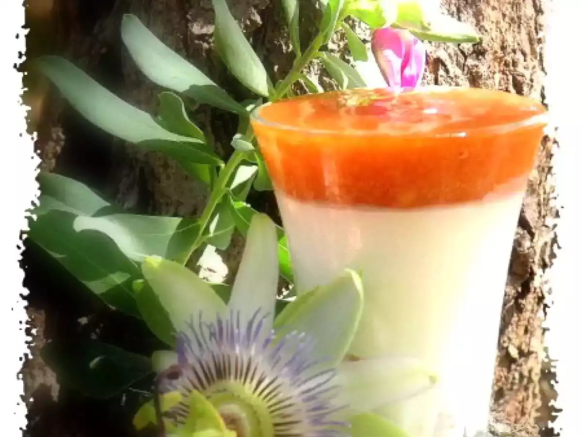 Panna cotta aux abricots et son coulis de fruits jaunes