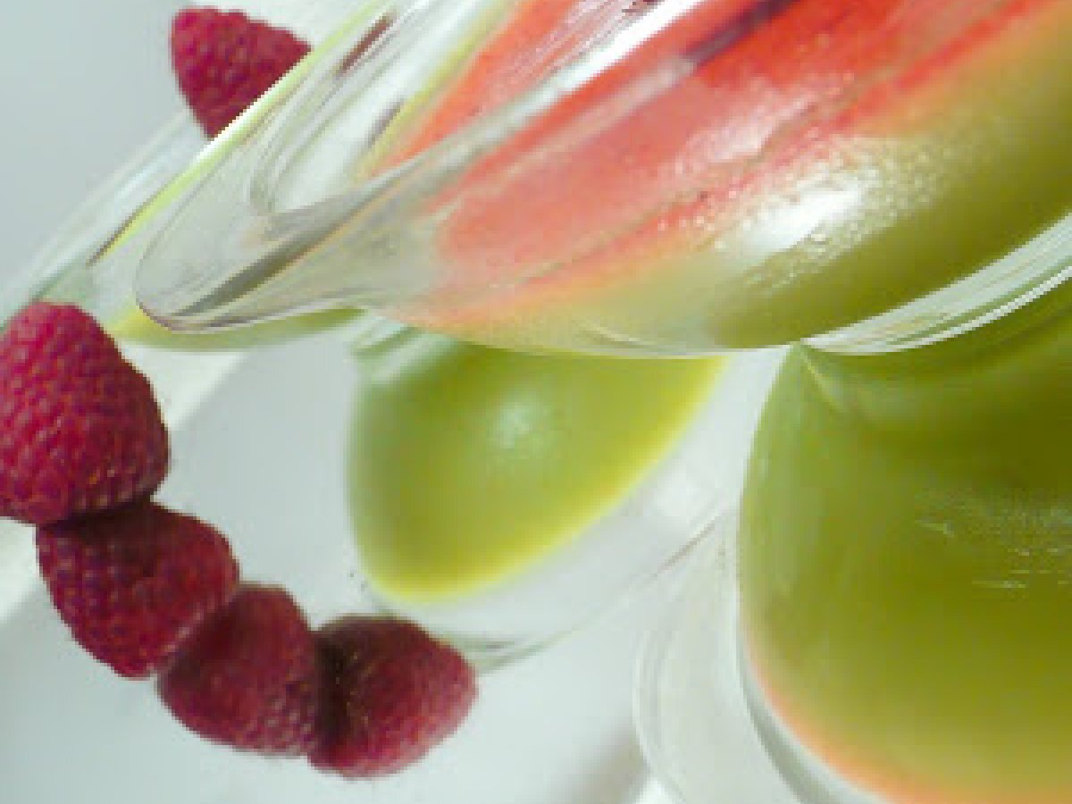 Panna cotta avocatframboises. Recette Ptitchef