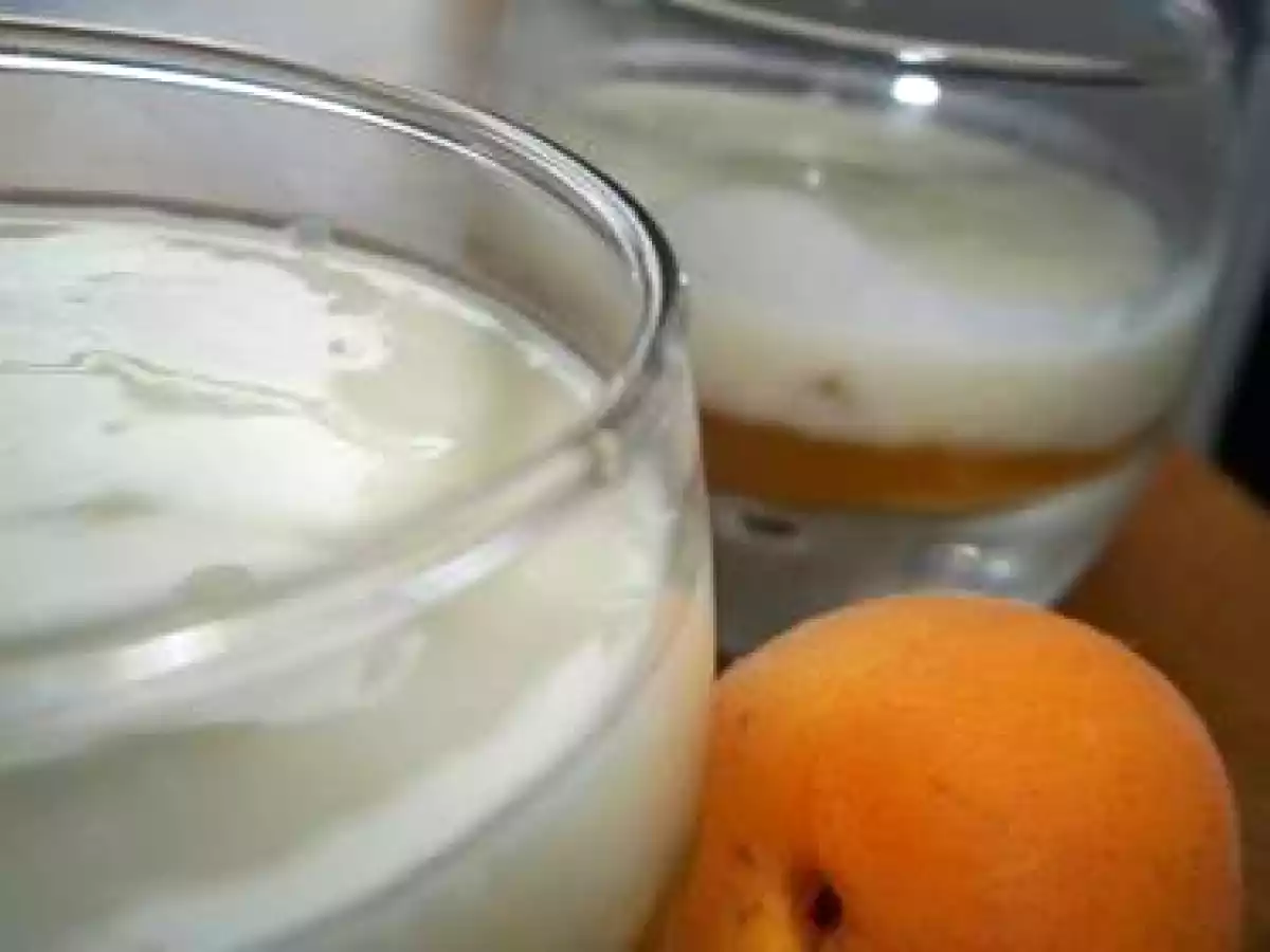 Panna cotta de faisselle au miel de lavande sur son lit abricots - photo 2
