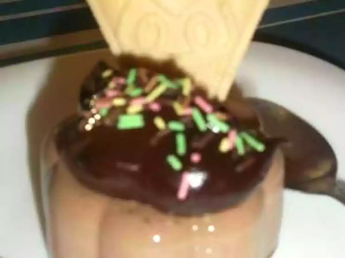 panna cotta et sa sauce chocolat