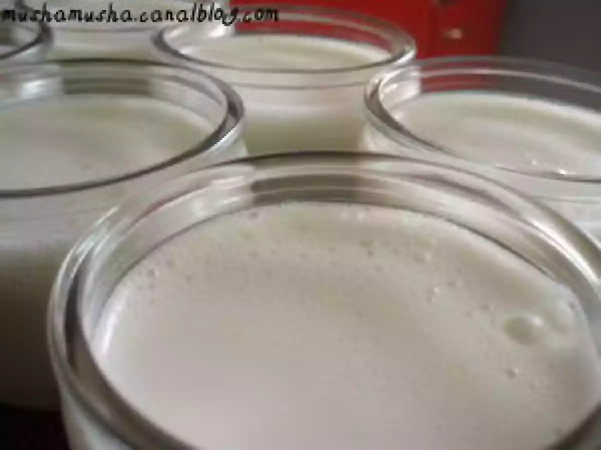 Panna cotta légère au lait de coco et à l'agar-agar