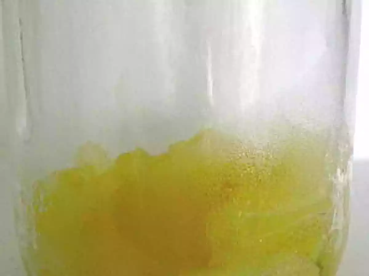 Panna cotta (LIGHT) à la poire - photo 2