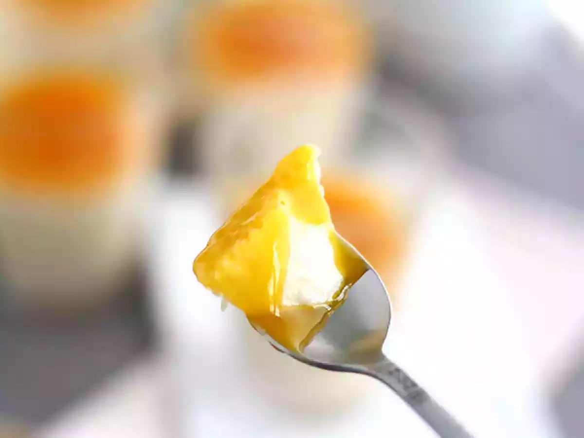 Panna Cotta vegan à la coco - photo 3