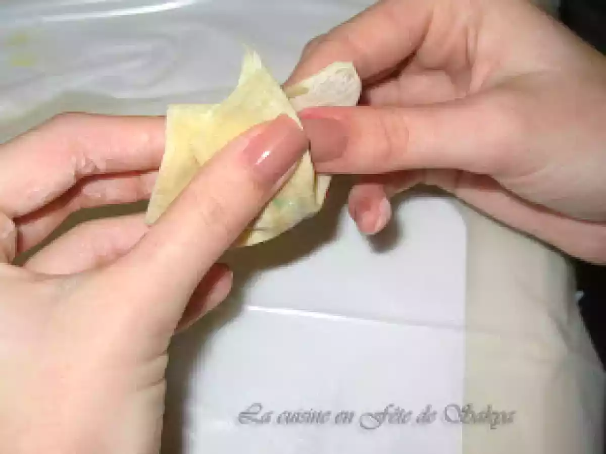 Papillotes asiatiques au porc et aux épinards avec sa sauce - photo 6