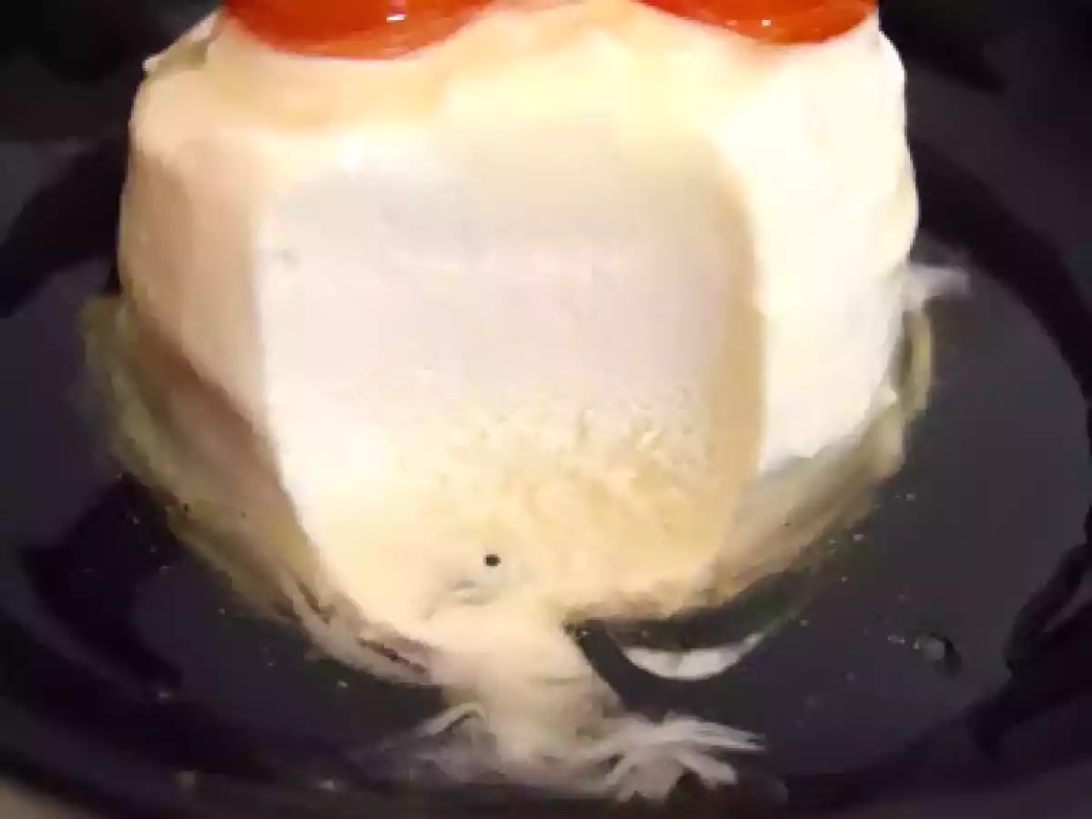 PARFAIT DE MIEL AUX KUMQUATS CARAMÉLISÉS - photo 2