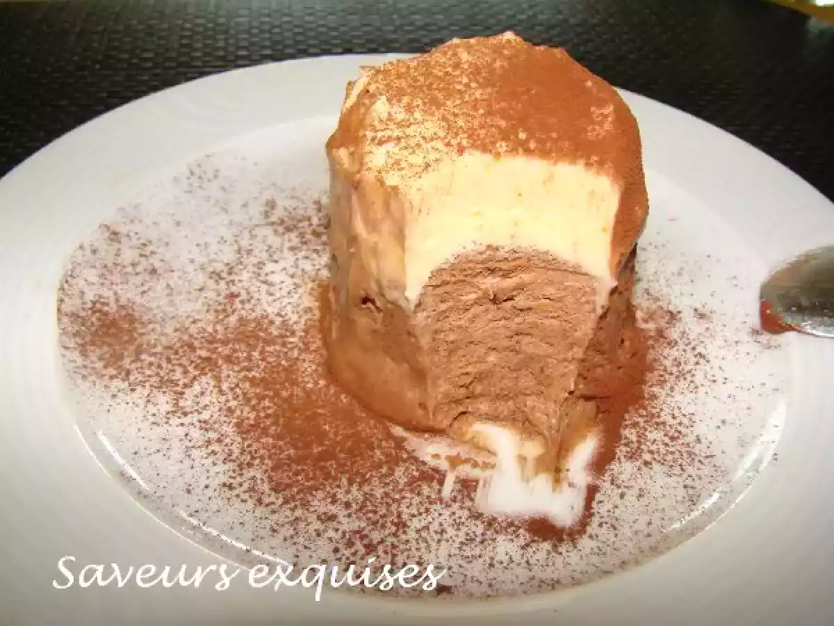 Parfait glacé aux deux chocolats