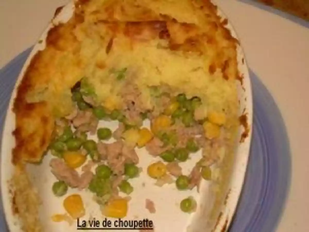 PARMENTIER DE THON AUX PETITS LEGUMES - photo 2