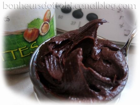 Pate A Tartiner Bio A La Puree De Noisette Recette Ptitchef