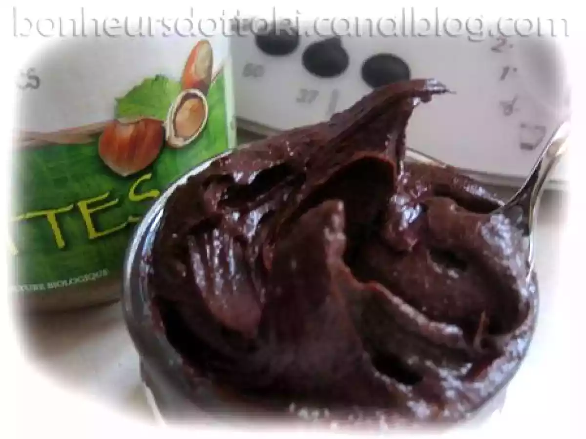 Pâte à tartiner bio à la purée de noisette