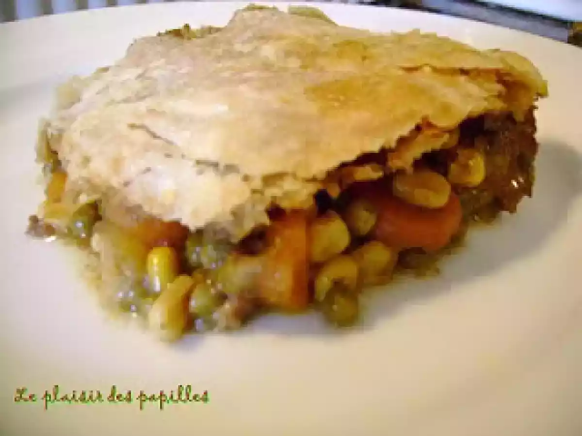 Pâté au boeuf parmentier - photo 2