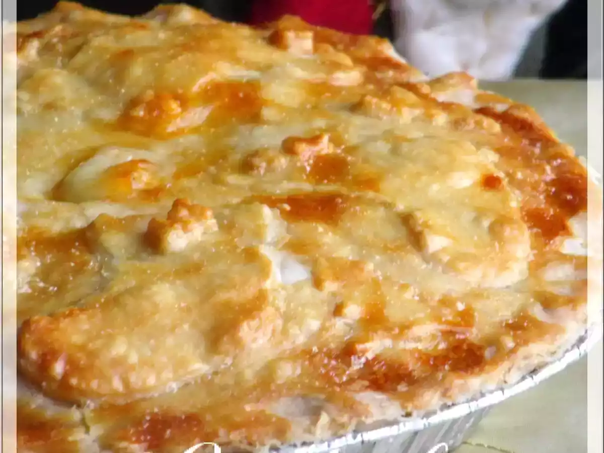 Pâté mexicain au goût de salsa et poudre chili