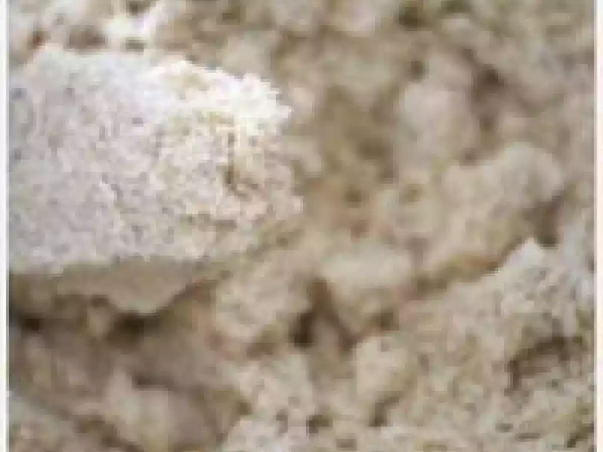 Pâte sablée au pralin et aux noisettes (Christine Ferber) - photo 3