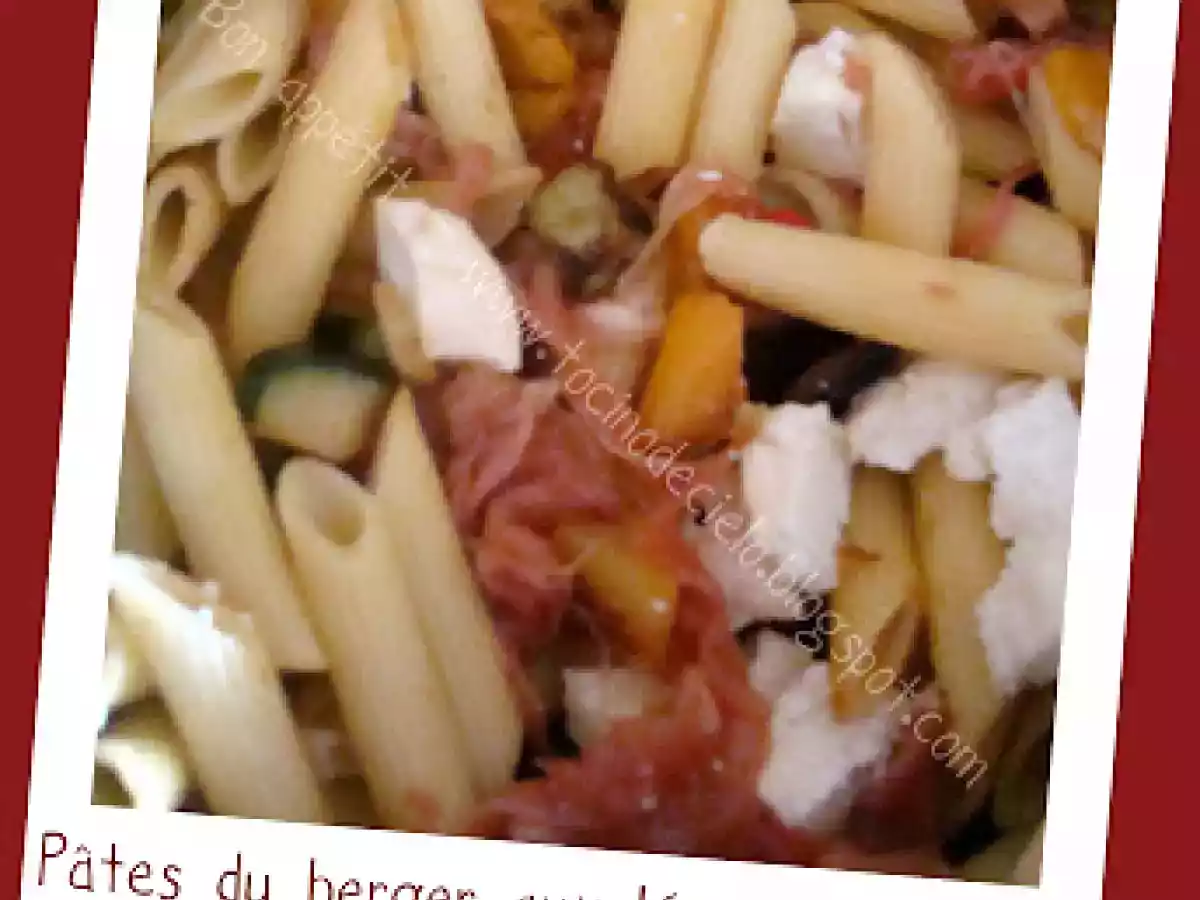 Pâtes du berger aux légumes du soleil à manger froid ou chaud