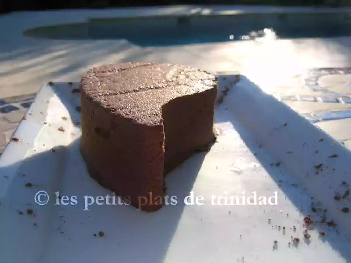 Pavé au chocolat, tout fondant !