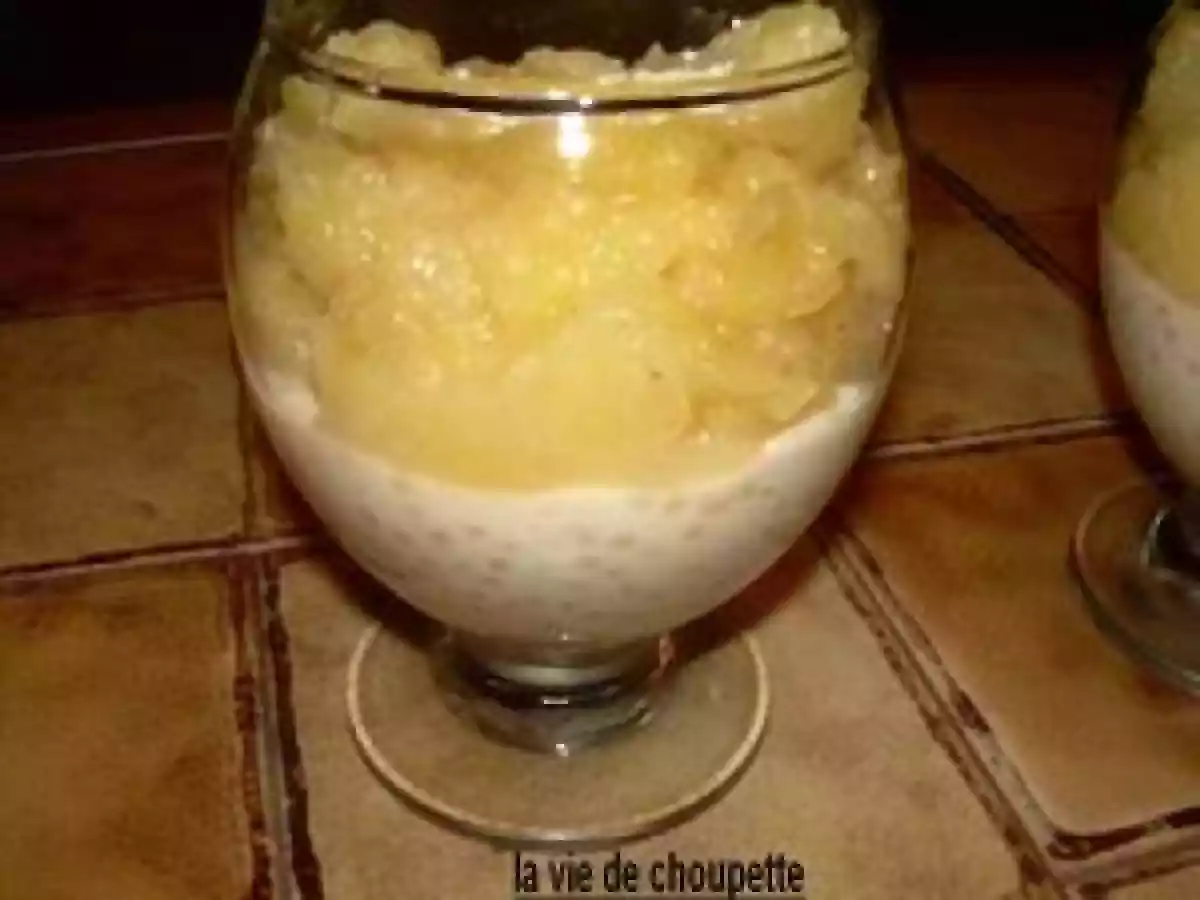 PERLES DU JAPON A LA NOIX DE COCO ET COMPOTE DE POMMES