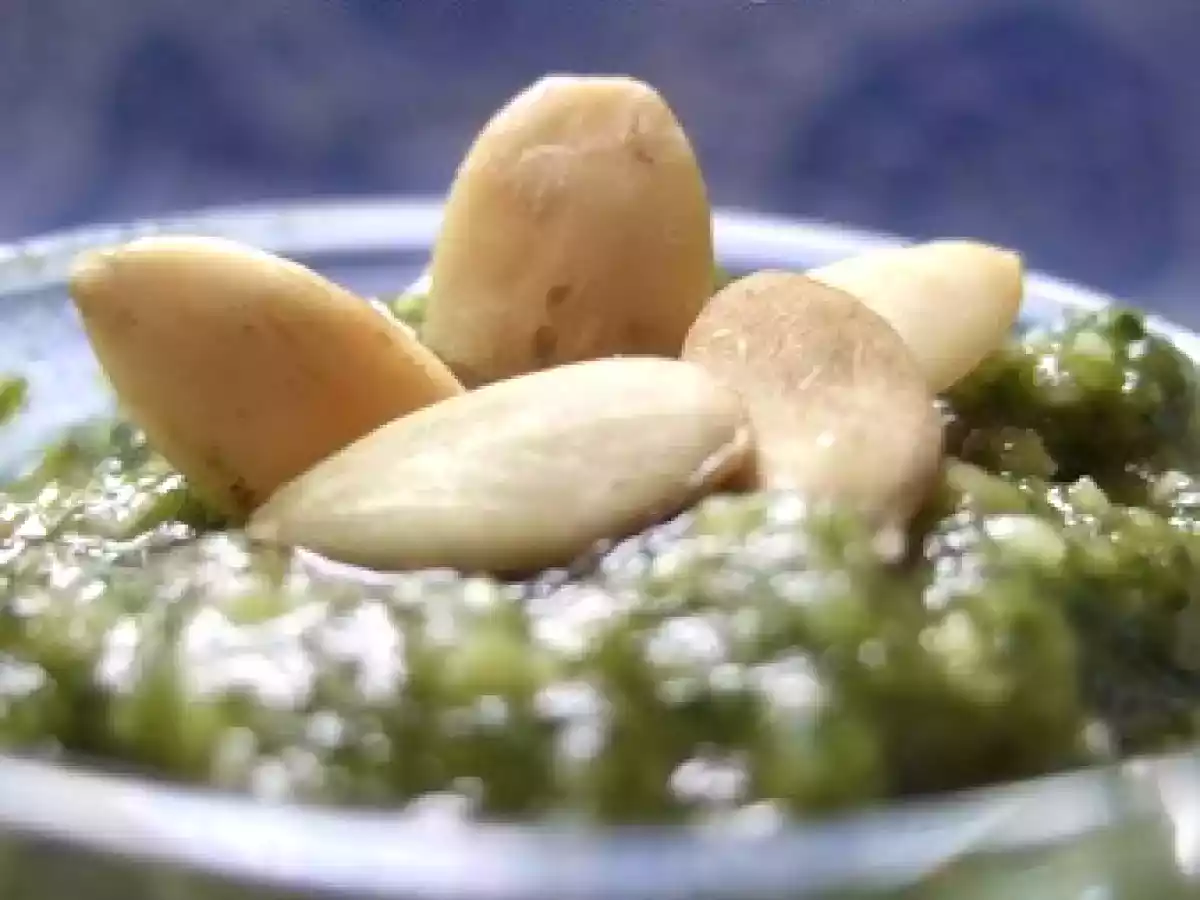 Pesto au basilic et graines de courge