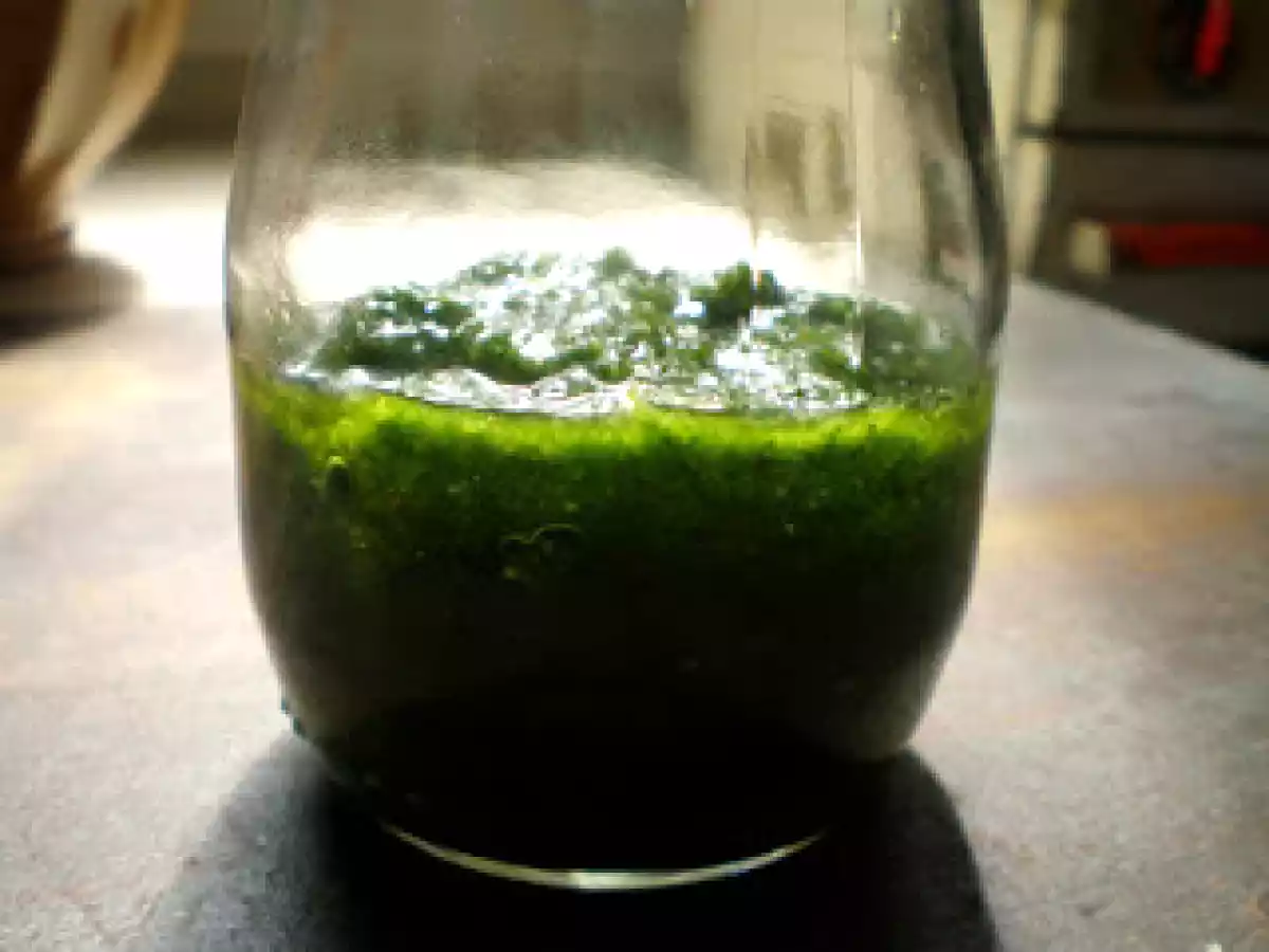 PESTO d'ESTRAGON - photo 2