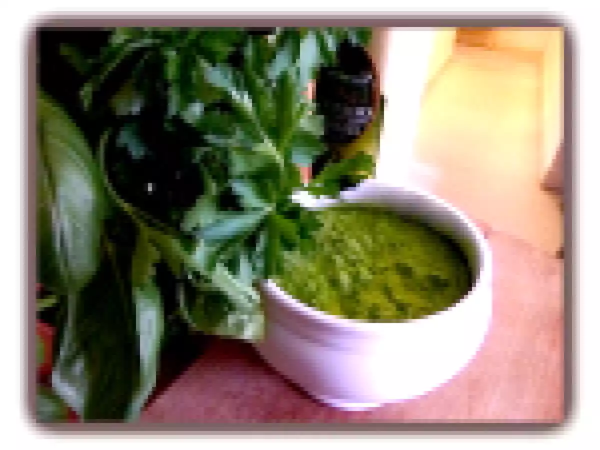 Pesto light de persil et tomates vertes
