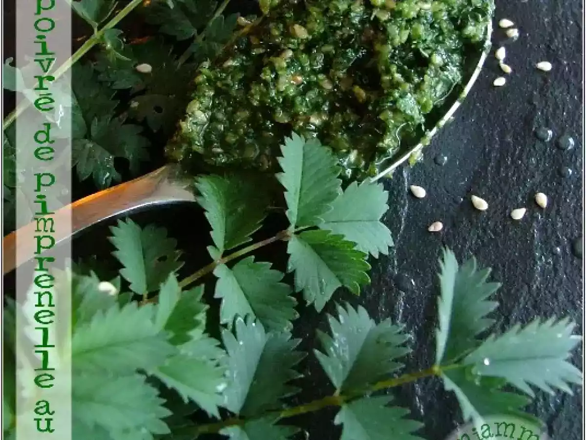 Pesto poivré de pimprenelle au sésame