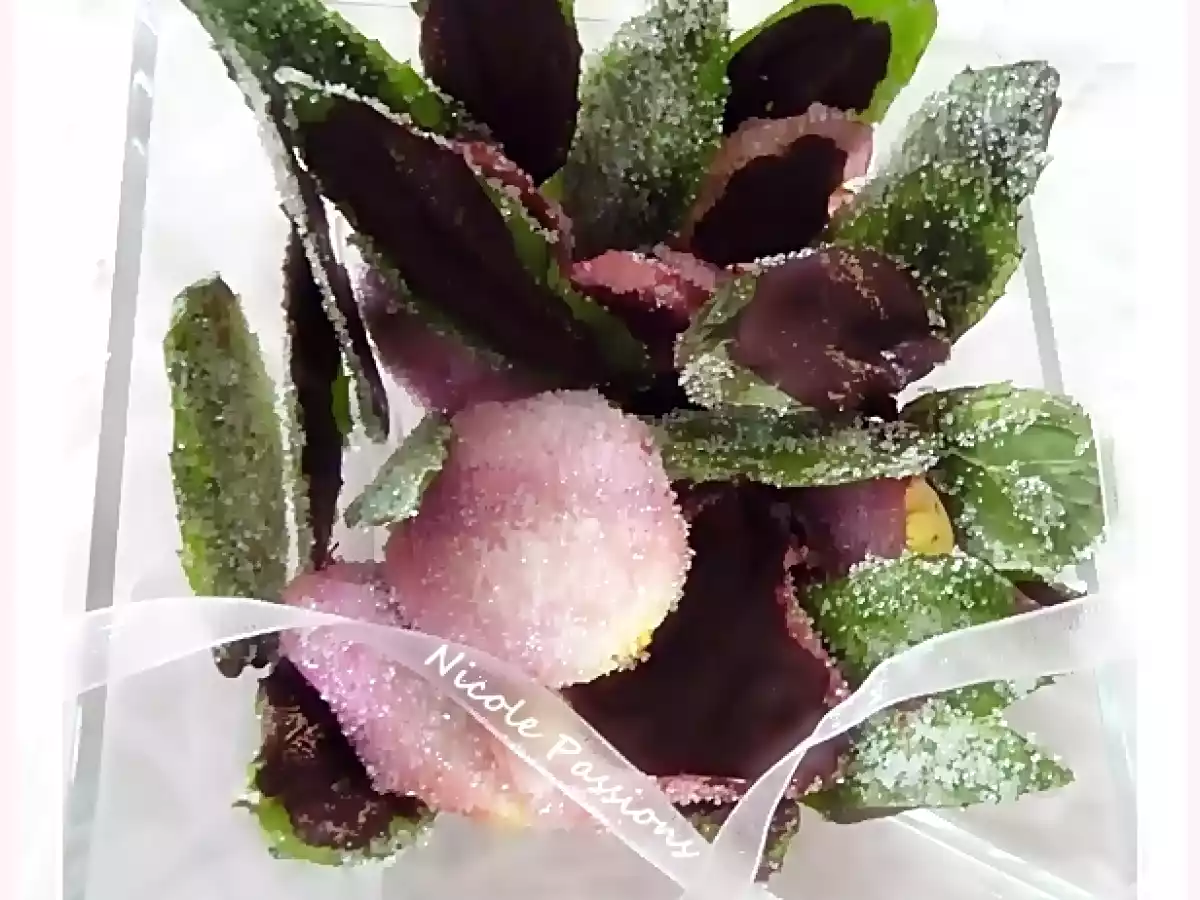 pétales de roses et feuilles de menthe cristallisées et chocolatées