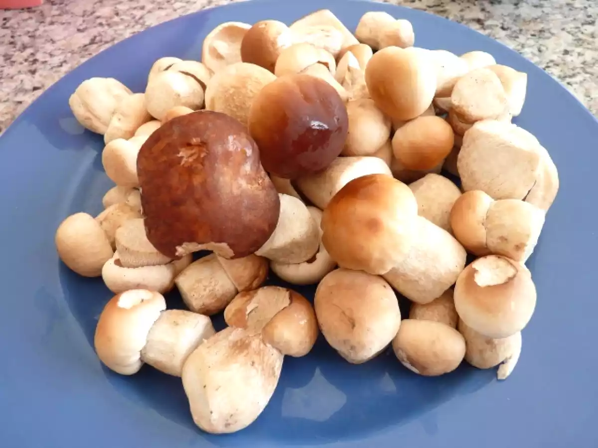 Petit bouchons (de bordeaux) pour l'apéro