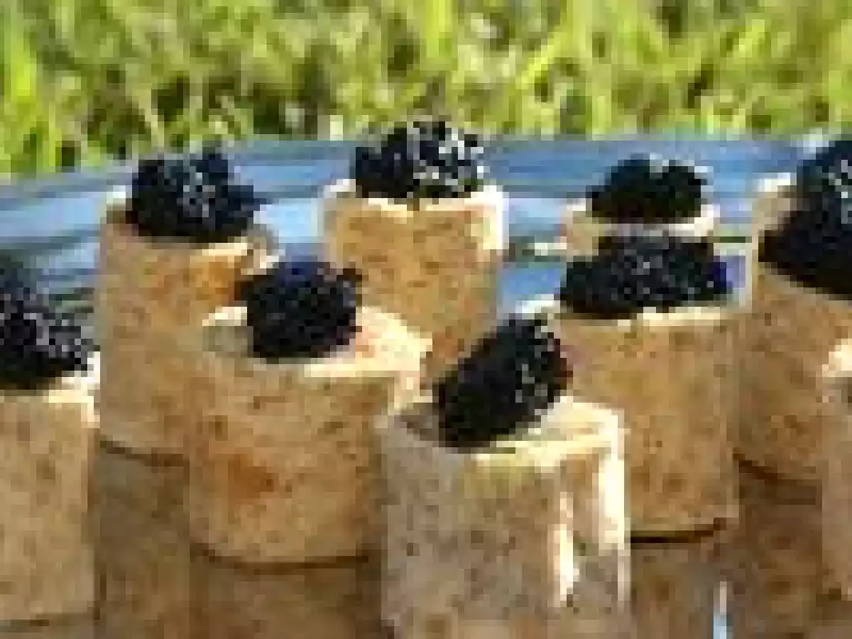 Petit roulé marin - photo 2