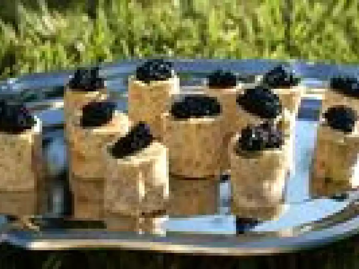 Petit roulé marin - photo 3