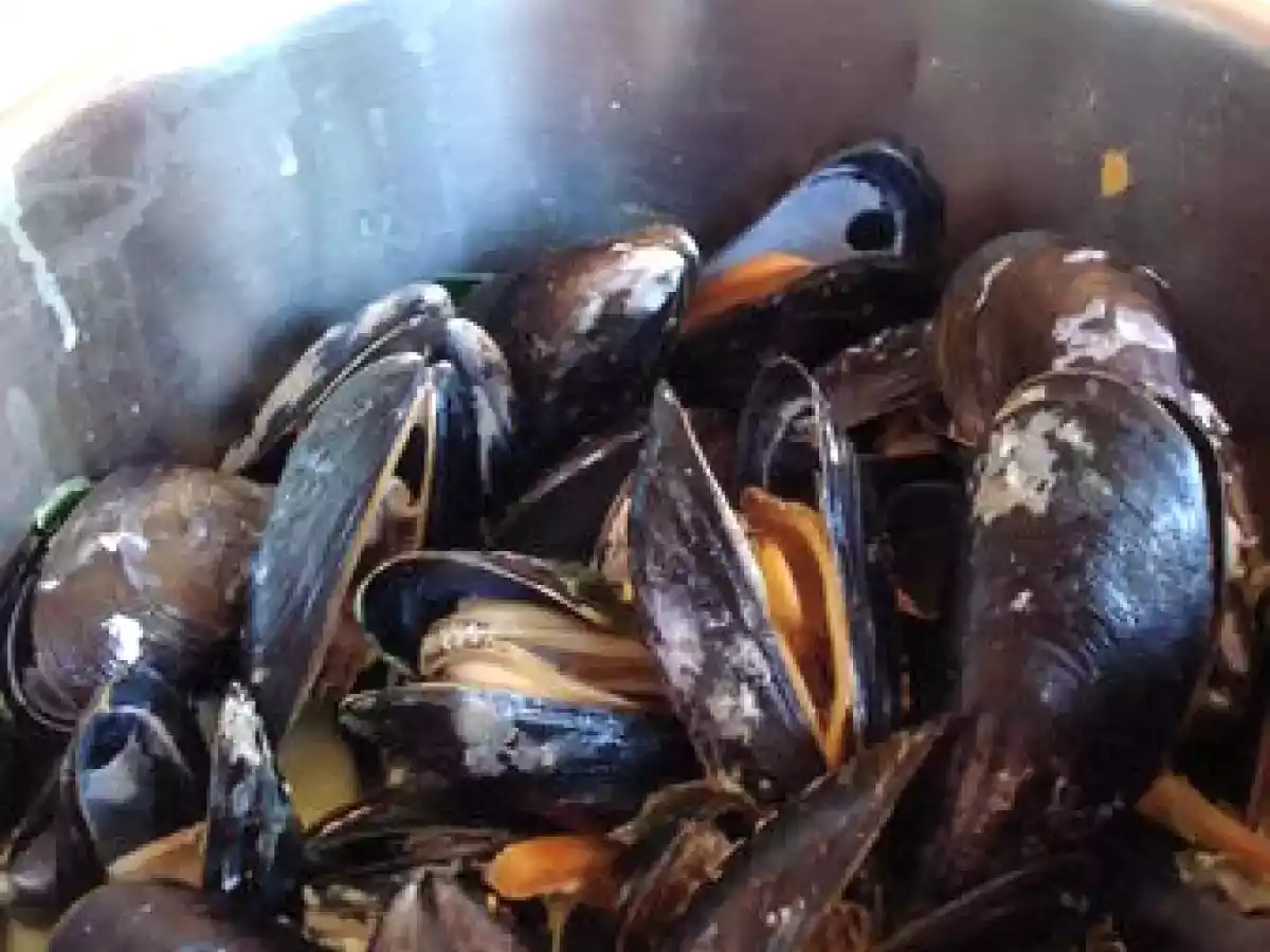 Petite casserole de moules à la crème et au curry hot